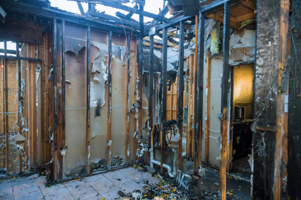 Professional Fire Damage Removal technician working in Isanti, MN
