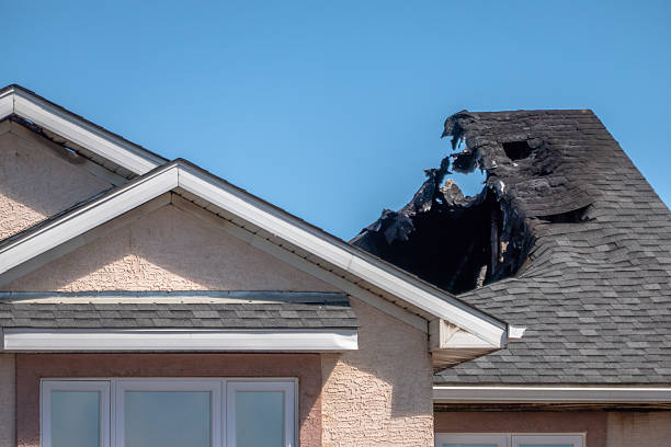 Top rated local Fire Damage Removal specialists in Isanti, MN